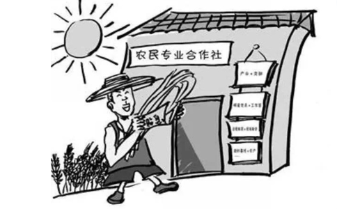 農(nóng)民專業(yè)合作社屬于企業(yè)法人嗎？農(nóng)民專業(yè)合作社的概念