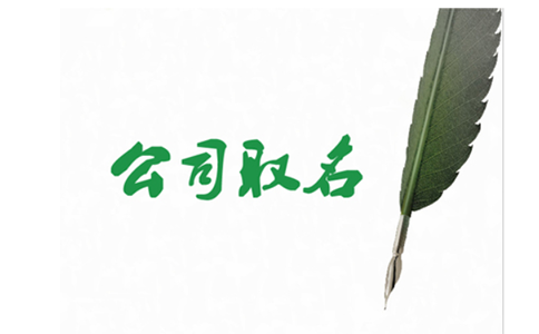 河南掌上名稱自主申報字號行業(yè)組織形式怎么填？