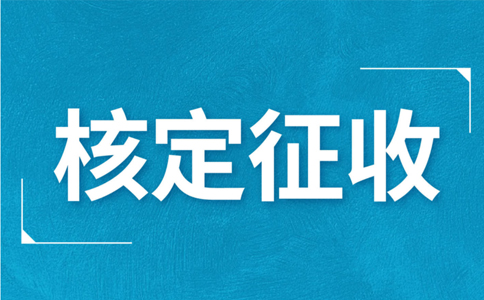 江西大額個體戶核定征收標(biāo)準(zhǔn)，2024年最新政策